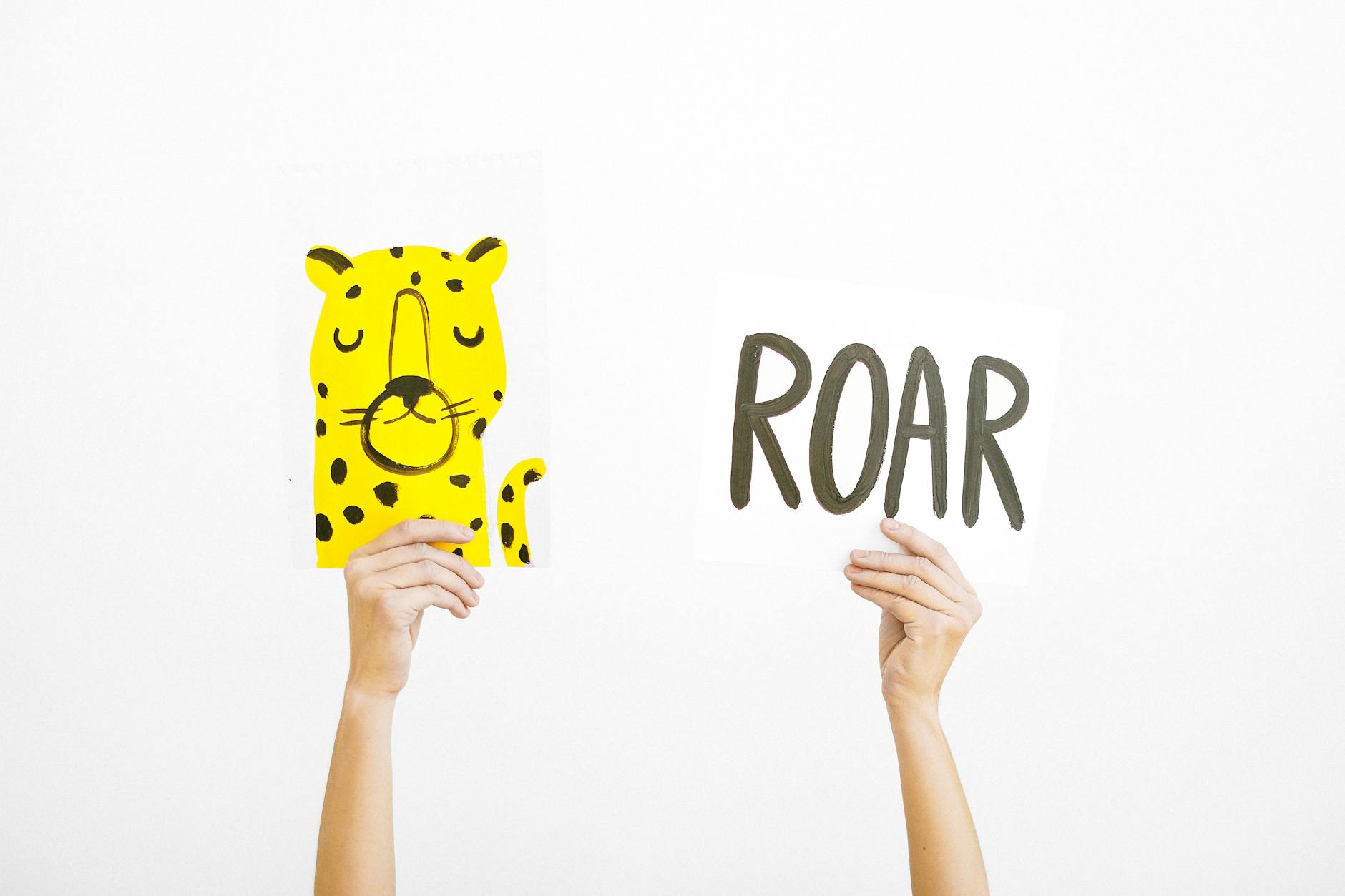 Handmade Pittsburgh Steelers shirt and tote bag with SVG design